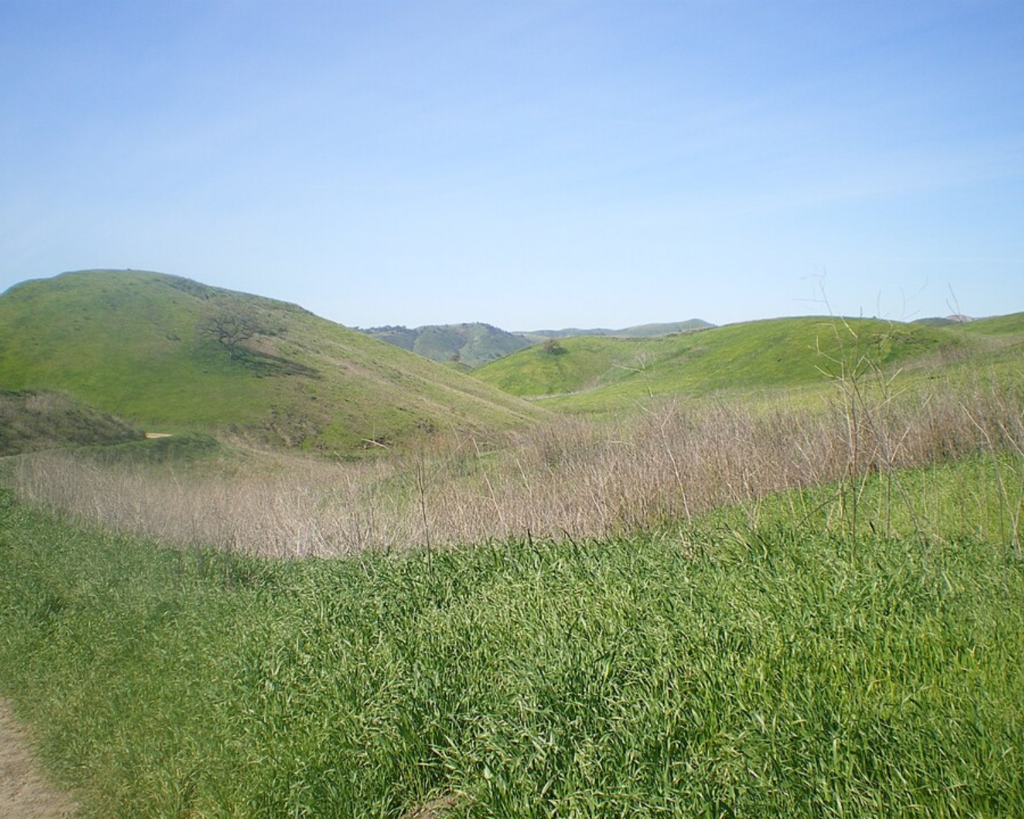 Rolling green hills under a clear blue sky, with dry grasses in the foreground and a small dirt path on the left.