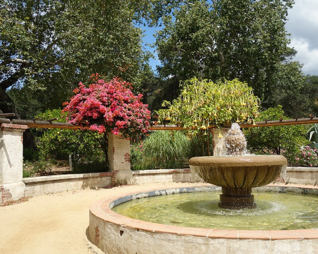Circular stone fountain with water spraying, pink bougainvillea on the left and a hanging yellow plant on the right in a sunny garden setting.