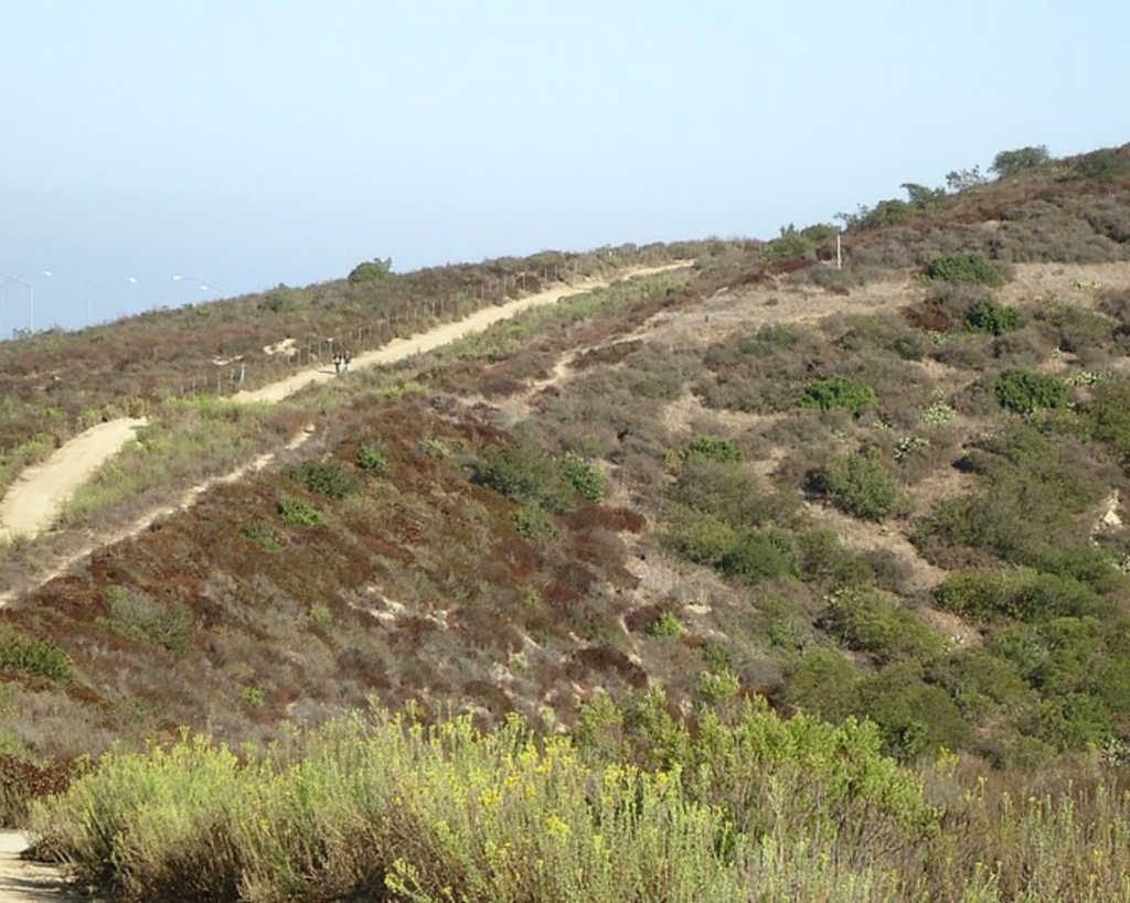 Laguna Coast Wilderness Park in California, with a winding dirt trail crossing dry, shrub-covered hills.