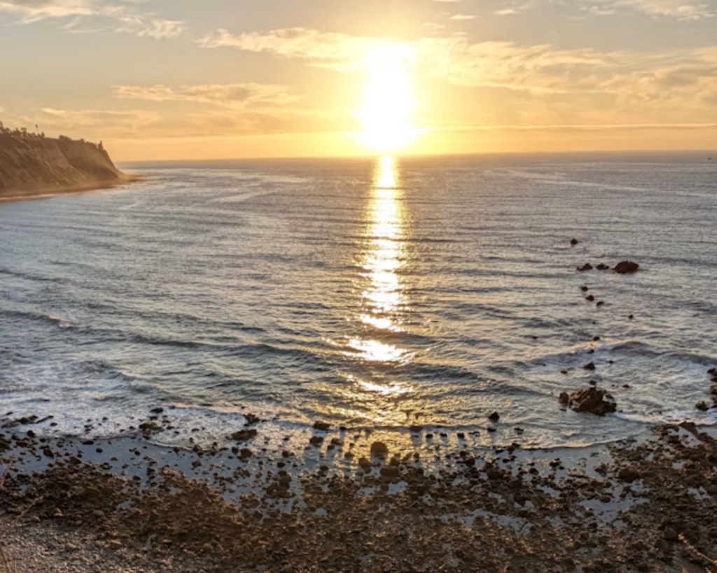 Sunset over the Pacific Ocean viewed from a grassy coastal cliff, with a rocky shoreline and golden reflections on the water.