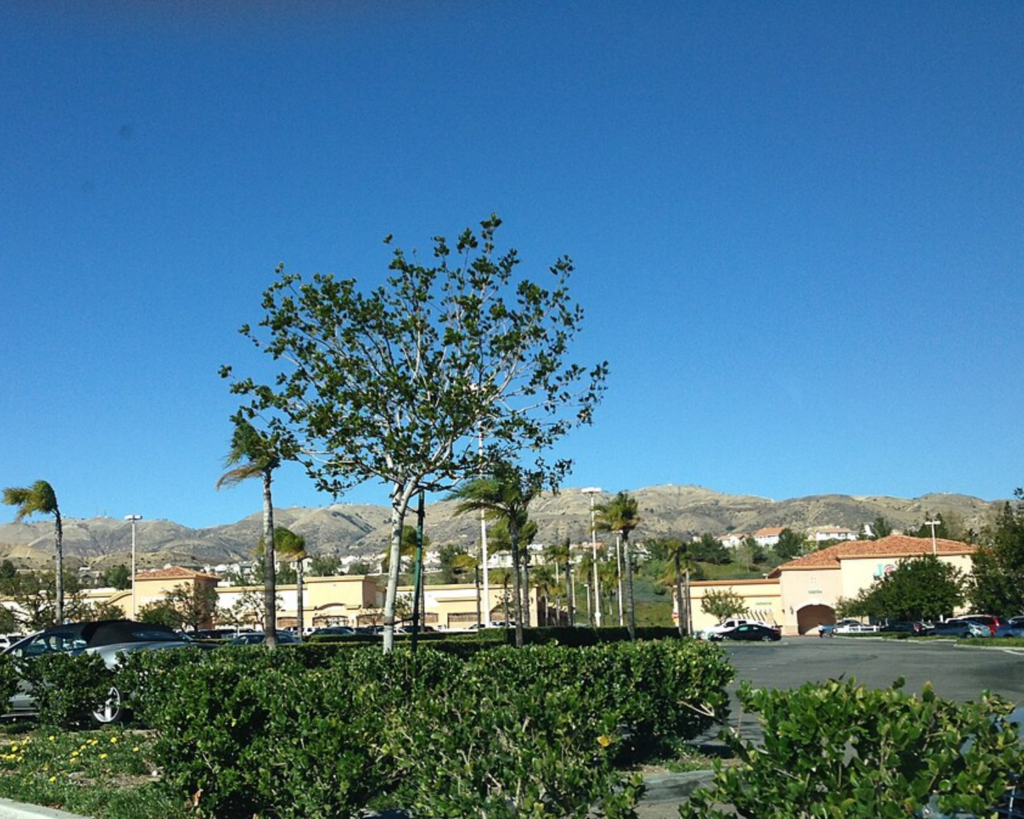 Porter Ranch, Los Angeles, with palm trees, a shopping area, parked cars, and dry hills beneath a clear blue sky.