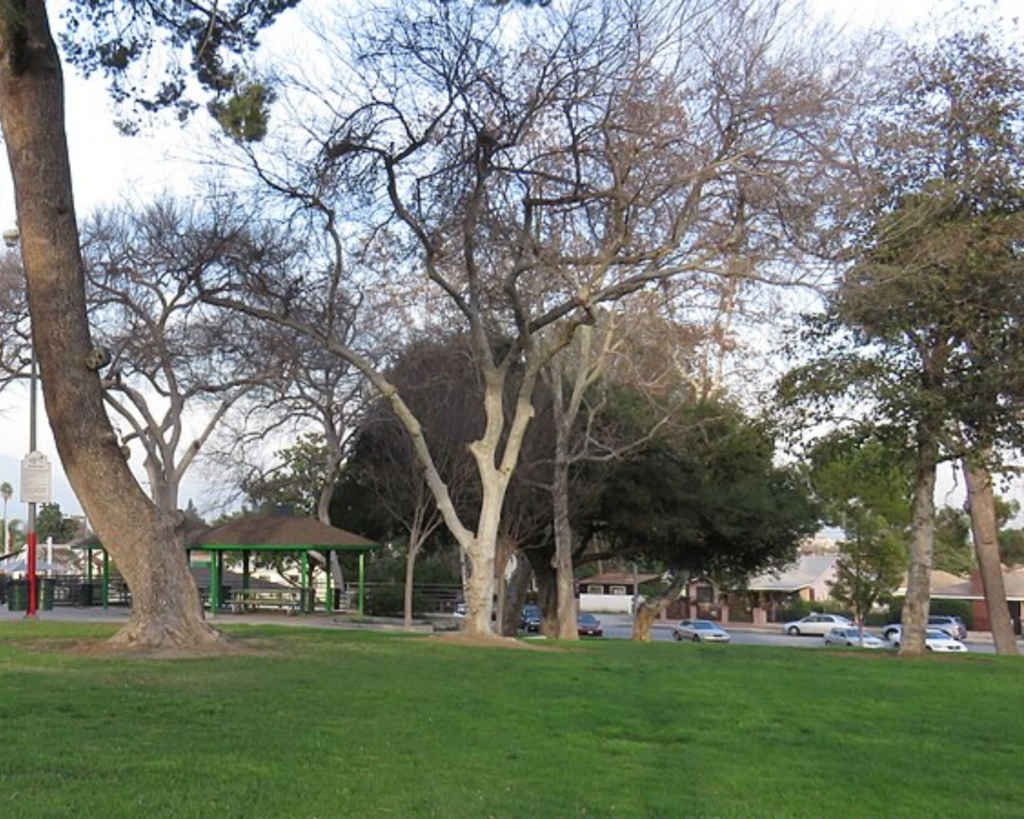 Garvey Park in Rosemead, California, featuring a grassy lawn, mature trees, picnic shelters, and recreational areas.