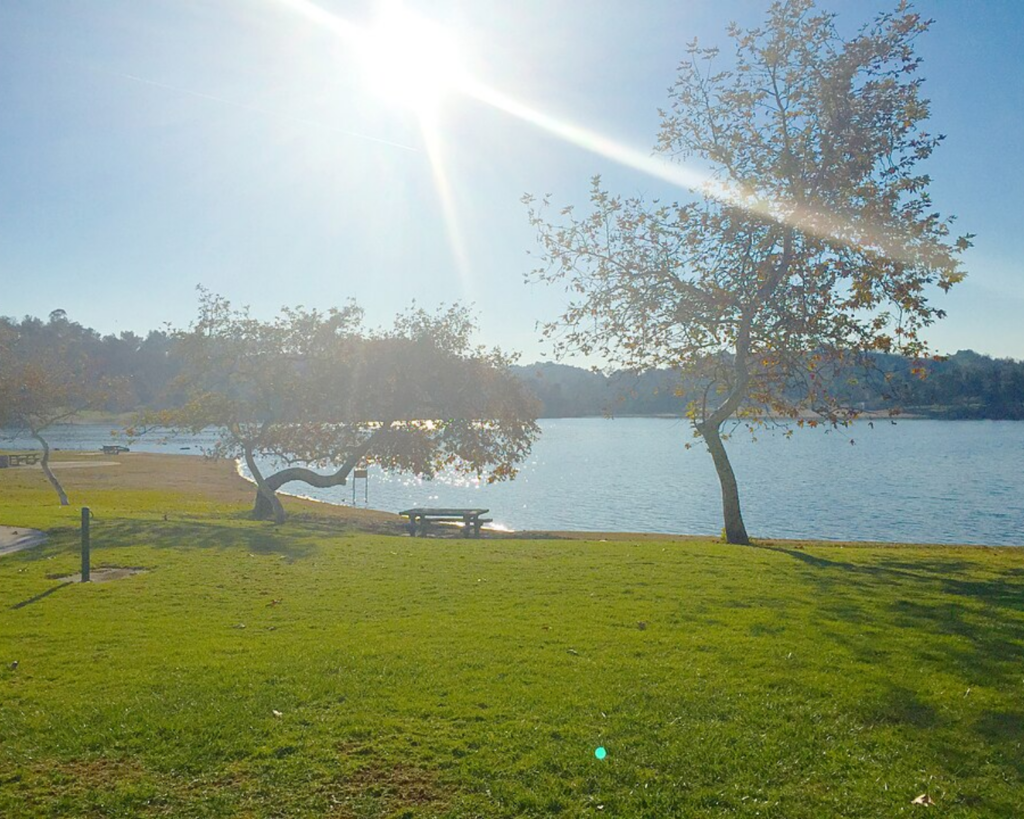 Frank G. Bonelli Regional Park in California, featuring a sunny lakeside lawn with trees, picnic tables, and calm water.
