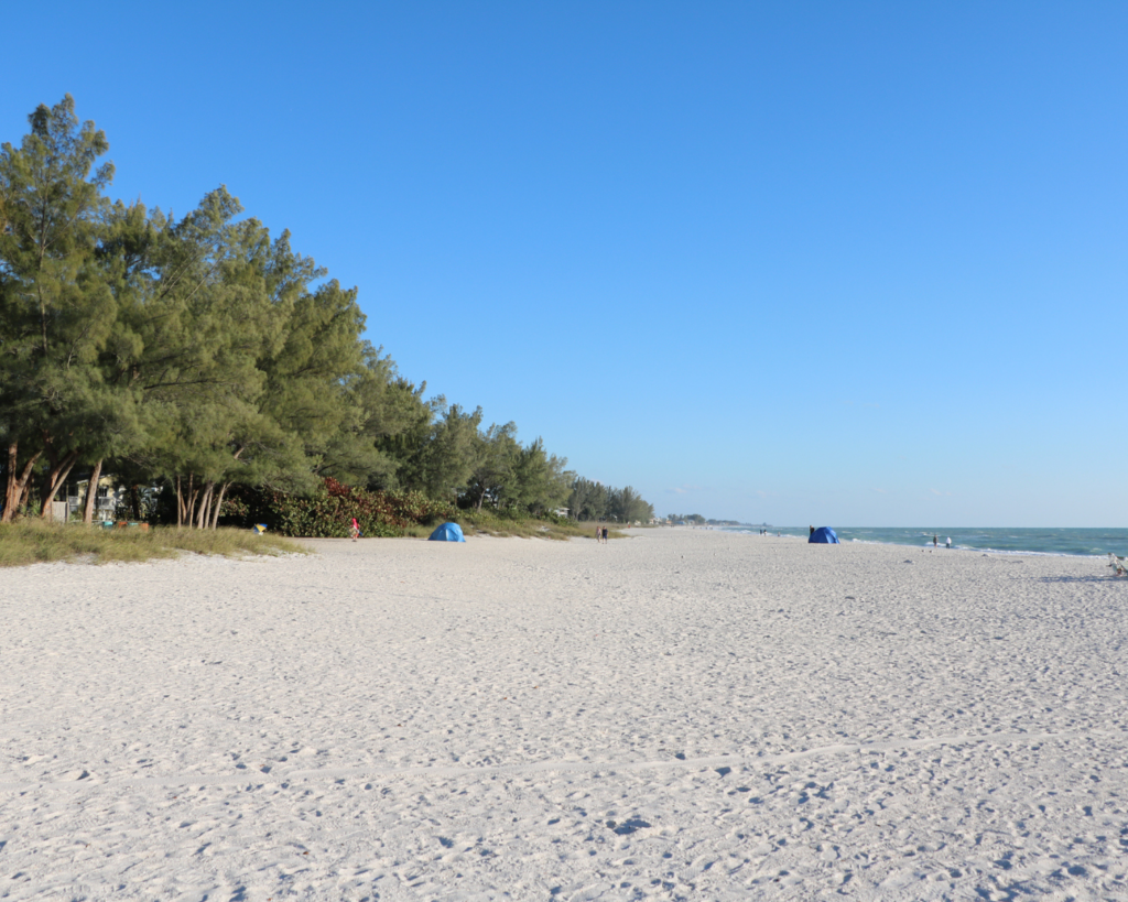 Manatee Public Beach on Anna Maria Island, Florida, with a wide white sandy shoreline, trees along the coast, scattered beachgoers, and blue Gulf waters under a clear sky.