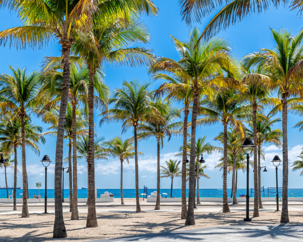 Palm trees and decorative street lamps at Oceanside Beach Park in Fort Lauderdale, Florida, with the blue ocean visible in the background.