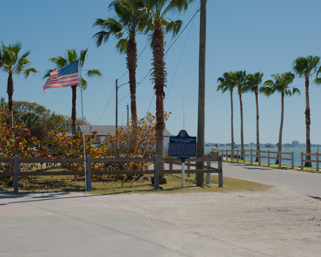 American flag flying beside palm trees along a sunny Florida waterfront, with a fence, shoreline path, and calm blue water under a clear sky.