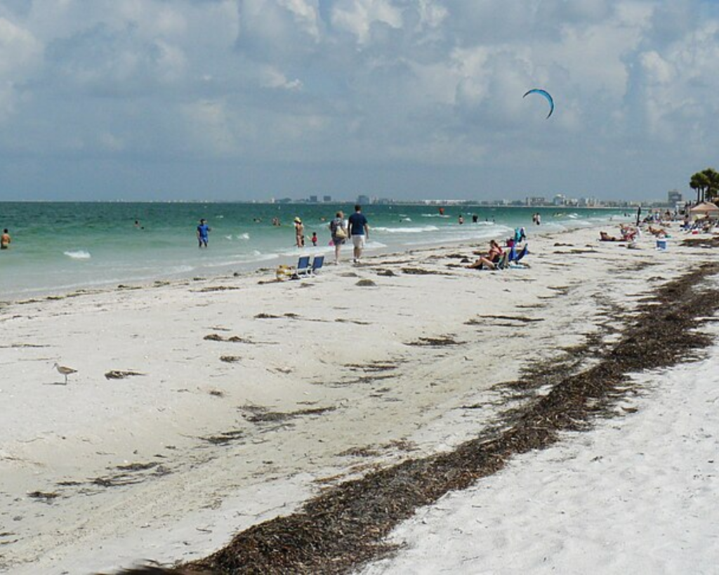 St. Pete Beach, Florida, with white sand, gentle Gulf waves, scattered beachgoers, palm trees, and a kite surfer beneath a partly cloudy sky.