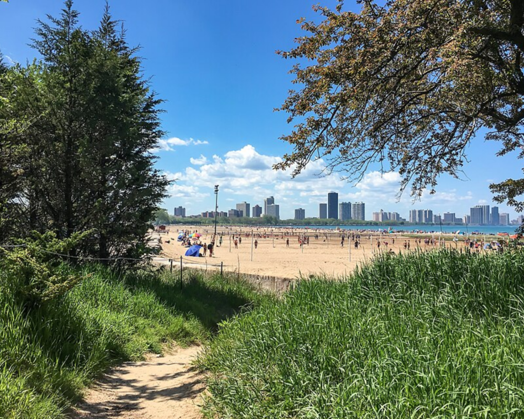 Montrose Beach in Chicago, Illinois, viewed through trees and tall grass, with beachgoers on the sandy shore and the city skyline in the distance under a bright blue sky.